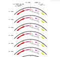 AAV-Hypocretin-hM4D(Gi)-mCherry-WPREs