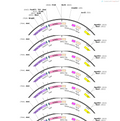 AAV-GAD67(Rattus)-DIO-PSAM(Leu141Phe Tyr115Phe) 5HT3-WPRE