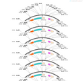 AAV-HypoCretin-hChR2(H134R)-EGFP-WPRE-hGH polyA
