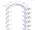 AAV-VGLUT2-DIO-Gcamp6f-WPRE-hGH pA