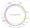 AAV-EF1α-fDIO-ATP1.0-WPREs