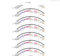 AAV-EFla-DIO-hChR2(H134R)-EGFP-WPREs