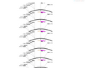 AAV-MPZ-EGFP-WPREs