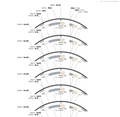 AAV-GFAP-IFP1.4-WPRE-hGH polyA