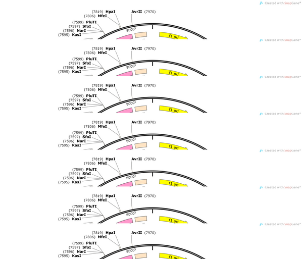 AAV-L7/Pcp2-GFP-WPRE-hGH polyA