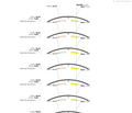 AAV-U6-Loxp-CMV-EGFP-Loxp-shRNA-SV40 polyA