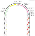 AAV-CaMKIIa-DIO-(mCherry-U6)-shRNA(empty)-WPRE-hGH polyA