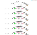 AAV-TPH2-Mscl-G22S-F2A-EGFP-WPRE-pA