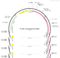 AAV-Plat-DIO-FLP-WPREs