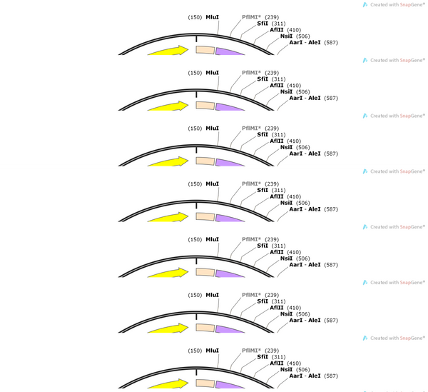 AAV-ApAf1-DIO-flp-WPRES