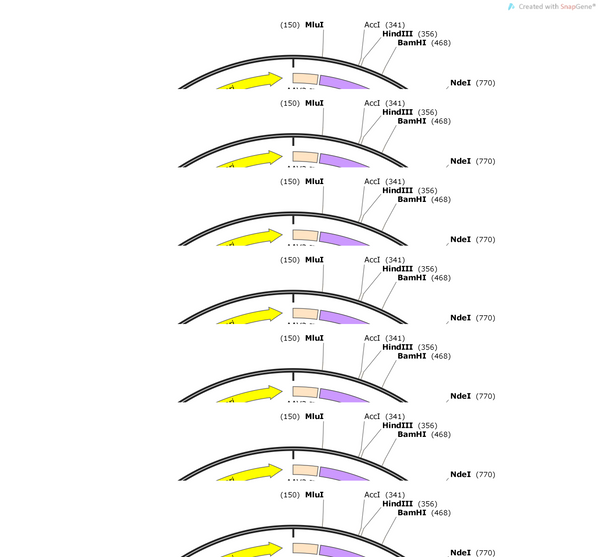 AAV-Chrna4-DIO-flp-WPRES