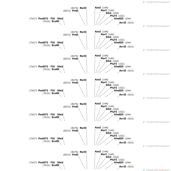 AAV-MrgprA3 promoter-EGFP-WPREs