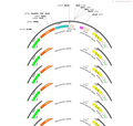AAV-Lypd1-EGFP-WPRE-pA