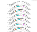 AAV-VMD2-Cre-WPRE-pA