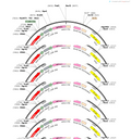 AAV-Tmem119-mCherry-5'miR-30a-shRNA(scramble)-3'-miR30a-WPRE