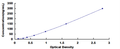 Human 2',5'-Oligoadenylate Synthetase 1 (OAS1) ELISA Kit – Figure 1 of 1