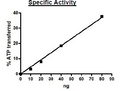 AKT1, Active Recombinant – Figure 1 of 2