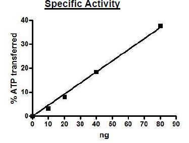 AKT1, Active Recombinant – Figure 1 of 2