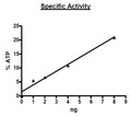 c-RAF(Y340D, Y341D), GST-Tag Recombinant – Figure 1 of 5
