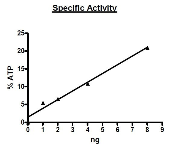 c-RAF(Y340D, Y341D), GST-Tag Recombinant – Figure 1 of 5