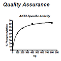 AKT2, Active, His-tag Recombinant – Figure 1 of 2