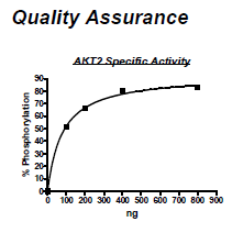 AKT2, Active, His-tag Recombinant – Figure 1 of 2