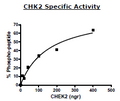 CHK2, His-tag Recombinant – Figure 1 of 2