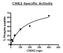 CHK2, His-tag Recombinant – Figure 1 of 2
