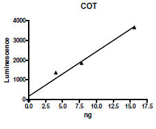 Cot (MAP3K8), GST-His-Tags Recombinant – Figure 1 of 2