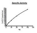 MAPK14 (p38α), GST-tag Recombinant – Figure 1 of 2