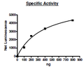 MNK1 (T385D), GST-tag Recombinant – Figure 1 of 2