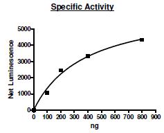 MNK1 (T385D), GST-tag Recombinant – Figure 1 of 2