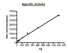 MUSK, His-tag Recombinant – Figure 1 of 2