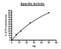PDPK1, GST-Tag Recombinant – Figure 1 of 2