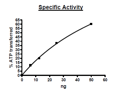 PDPK1, GST-Tag Recombinant – Figure 1 of 2