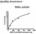 MKK6, GST-tag Recombinant – Figure 1 of 2