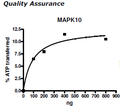 MAPK10 (JNK3), GST-tag Recombinant – Figure 1 of 2