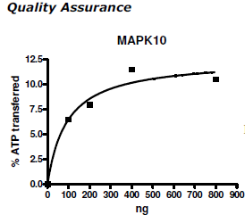 MAPK10 (JNK3), GST-tag Recombinant – Figure 1 of 2