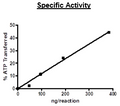 CDK4/CyclinD3, GST-His-Tag Recombinant – Figure 1 of 2