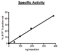CDK4/CyclinD3, GST-His-Tag Recombinant – Figure 1 of 2