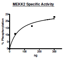 MEKK2, GST-tag Recombinant – Figure 1 of 2