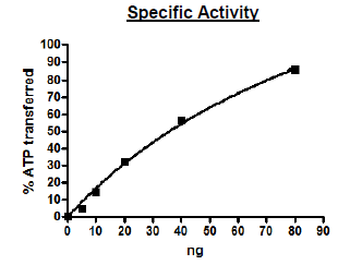 PKCα (PKCalpha), GST-tag Recombinant – Figure 1 of 2