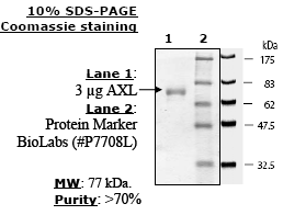 Axl, GST-Tag Recombinant – Figure 1 of 1