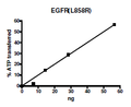 EGFR (L858R), GST-Tag, His-Tag Recombinant – Figure 1 of 2