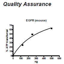 Mouse EGFR, FLAG-Tag Recombinant – Figure 1 of 2