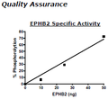EPHB2, His-tag Recombinant – Figure 1 of 2