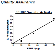 EPHB2, His-tag Recombinant – Figure 1 of 2