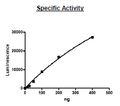 EPHB4, His-tag Recombinant – Figure 1 of 2