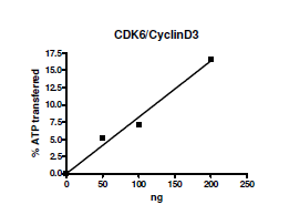 CDK6/CyclinD3, His-tags Recombinant – Figure 1 of 2