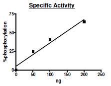 FLT1, His-tag Recombinant – Figure 1 of 4